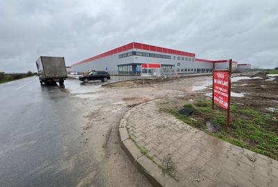 Teren de 4100 mp, în Dragomirești-Deal - 6