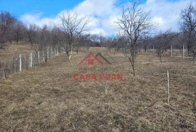 Teren intravilan in Cornu--2991mp--29e - 6