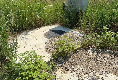 Teren de 4000 mp, în Ciolpani