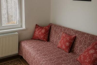 Casa Alexandru Iliescu - 5