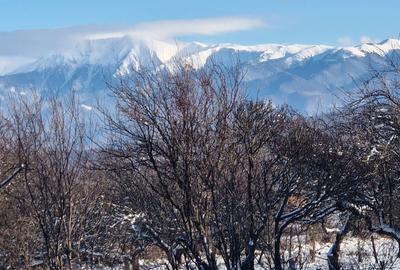 Teren de 3300 mp, în Sadu - 3