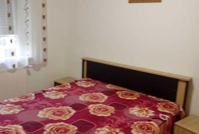 Apartament cu 2 camere decomandat în Cetate - 5