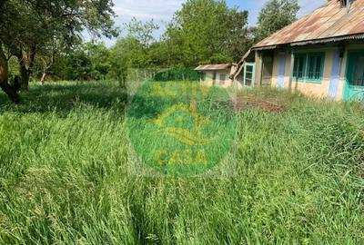 Teren intravilan de 5000 mp, în Trifești - 3