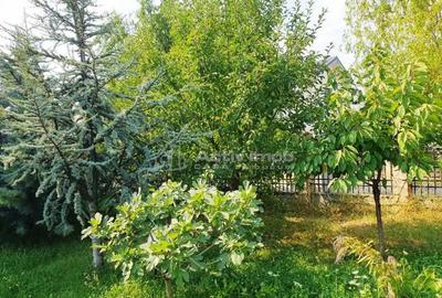 Teren de 531 mp, în Alexandriei - 3