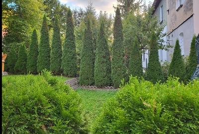 Eleganta si istorie: Apartament 4 camere in Centrul Istoric - 2