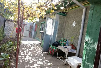 Casă cu 4 camere în Radu Negru - 2
