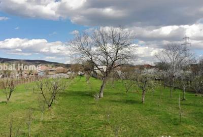 Teren de 4898 mp, în Cornu - 5