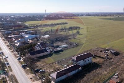 Vanzare teren intravilan 1056 mp si extravilan 8828mp Racari-DB - 4