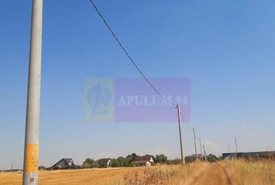 Teren de 2000 mp, în Brănești - 18