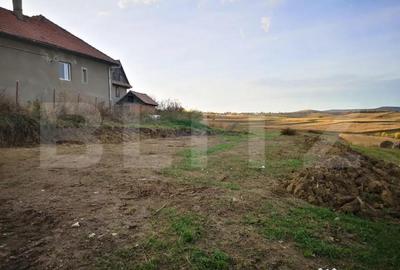 Teren de 2200 mp, în Chinteni - 1