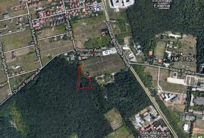 Teren de 9999 mp, în Băneasa