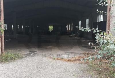 RECO Hale predestinate prelucrarea lemnului, loc. Auseu, sat - 6