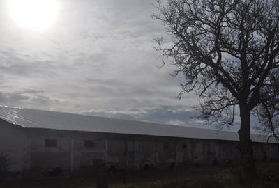 Spațiu industrial, în Ceamurlia de Jos - 18