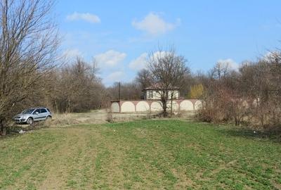 Teren intravilan Magurele langa padurea Cornetu si Arges - 1