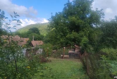 Casa de vanzare satu nou 12km din tg Mure? - 10