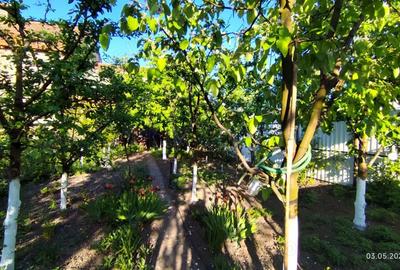 Casă cu 2 camere cu Teren 500 Mp în Hărman - 3