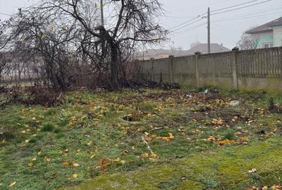Casă cu 4 camere în Vlădila - 1
