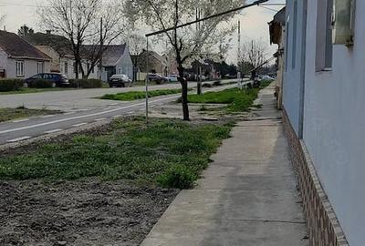 Casă cu 3 camere cu Teren 1650 Mp în Cenei - 1