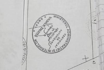 Teren de 10000 mp, în Lazu - 2