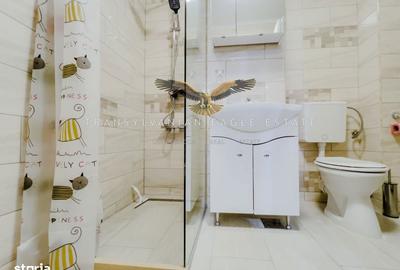 Apartament cu 2 camere semidecomandat, mobilat în Europa - 10