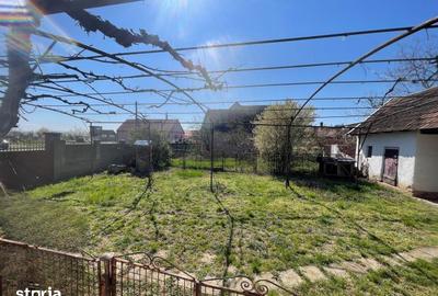 Casă cu 3 camere cu Teren 1500 Mp în Saca - 7