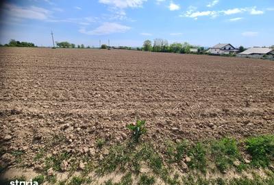 Teren de 1500 mp, în Măgura - 2