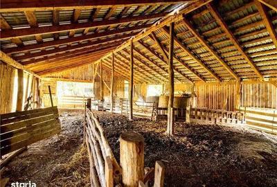 Vindem Casa cu 4 camere in Husasau de Tinca - 3