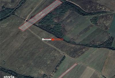 Teren de 23400 mp, în Husasău de Tinca - 6
