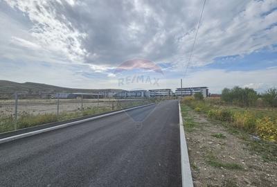 Teren Construcții intravilan de 11264 mp, în Sânnicoară - 3