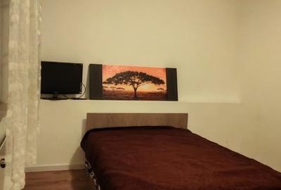 Voluntari, Intrarea Teslui - 5