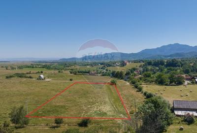 Teren Bran -Sohodol, Strada La mesteceni, 6900mp - 4