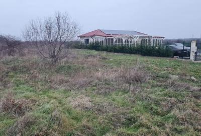 Spațiu comercial, în Roșu - 3