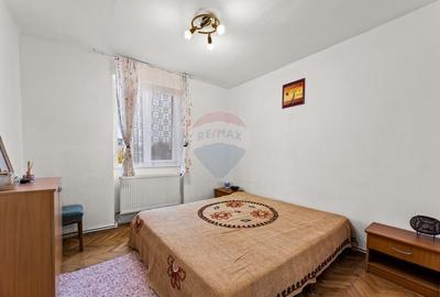 Apartament cu 3 camere de inchiriat- Pet Friendly- zona centrala - 1