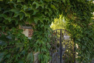 POVESTEA UNEI CASE PENTRU GENERATII  | VILA CU FARMEC, LUMINA SI TEREN 1618 MP POVESTEA UNEI CASE PENTRU GENERATII  | VILA CU FARMEC, LUMINA SI TEREN 1618 MP - 43