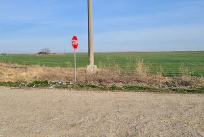 Spațiu comercial, în Central