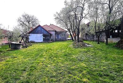Casă cu 3 camere cu Teren 2500 Mp în Burdea - 8