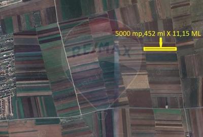 Teren Extravilan 5.000 mp Tarlungeni / Strada Zizinului - 3