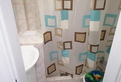 Apartament cu 1 camera recent renovat etaj 1 zona Buziasului - 5