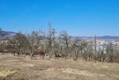 Teren de 1400 mp, în 700