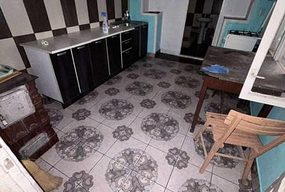 Casă cu 2 camere în Șepreuș - 2