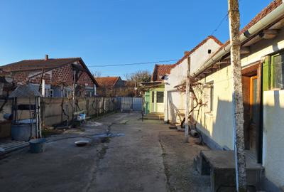 Casa cu teren 5100mp în Sacadat - 3