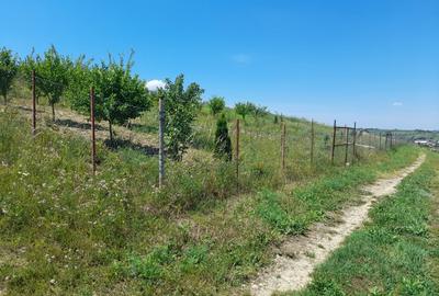 Tren in zona Copou  ,  Numarul de tel. nu este corect scrieti mesaj. - 3