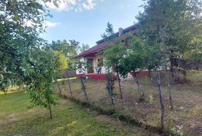 Casă cu 3 camere cu Teren 4000 Mp în Pârscov - 1