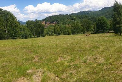 Spațiu comercial, în Bănița - 1