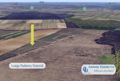 Teren de 1750 mp, în Sânmartin - 2