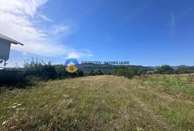 Teren intravilan de vanzare 1.688 mp, Dumbrava Ro?ie - 1