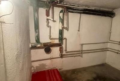 Villa Interblica - Parcul Carol Villa Interblica - Parcul Carol - 34