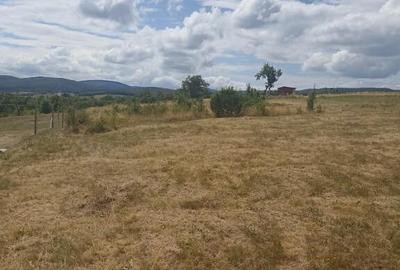 De vanzare teren extravilan in Valea Crisului - 3