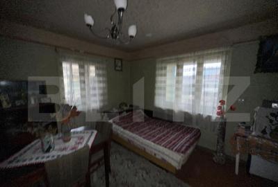 Teren 3000 mp + 2 case de vanzare-Ca?eiu - 1