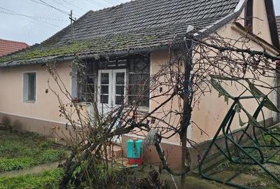 Casă cu 2 camere în Central - 3